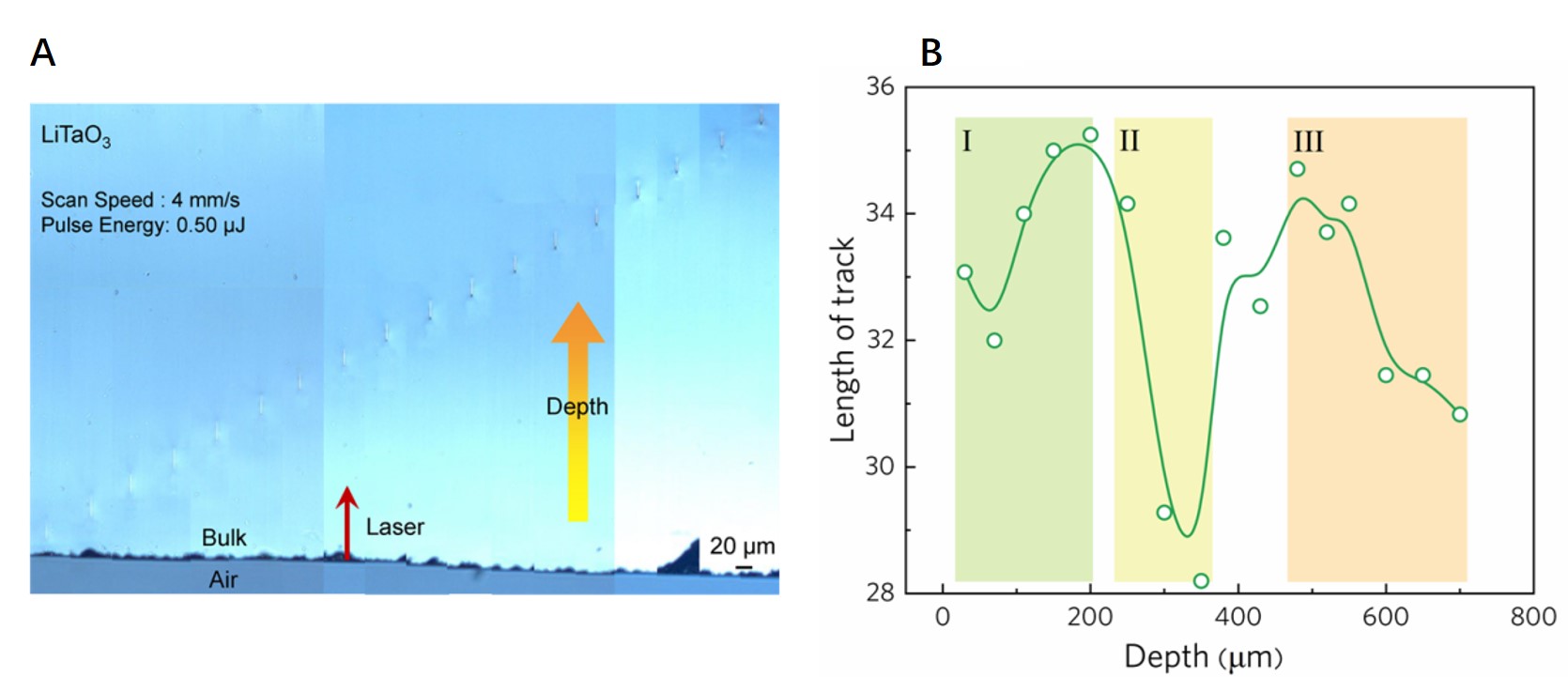 Figure 1.jpg