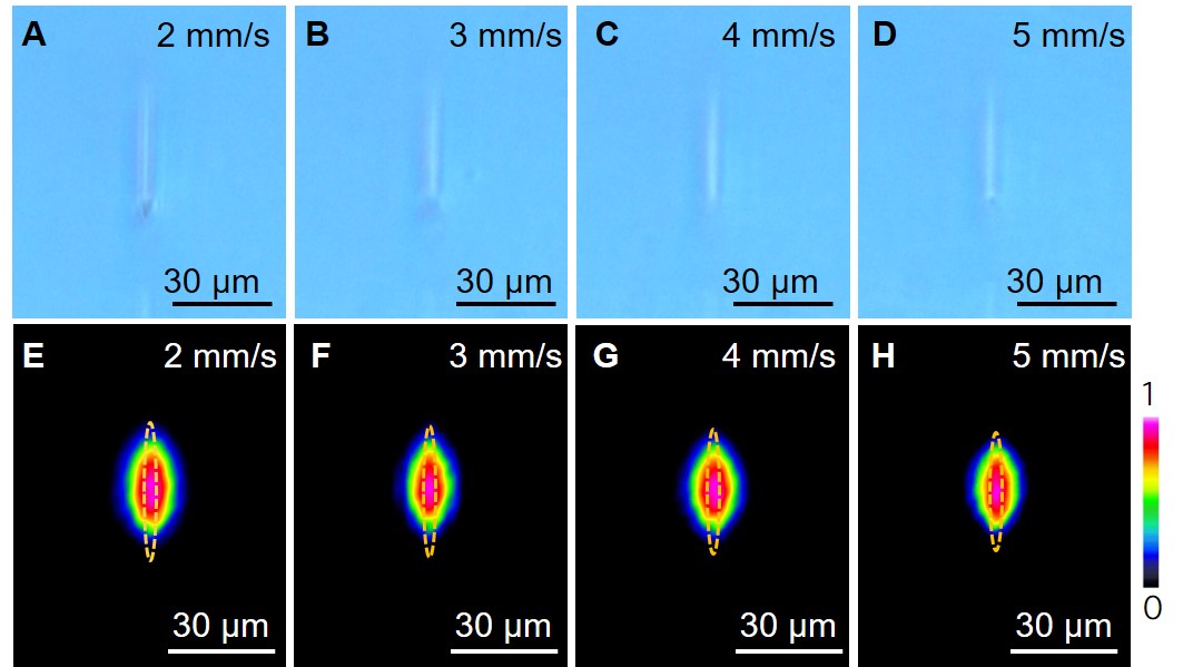 Single-line optical waveguides