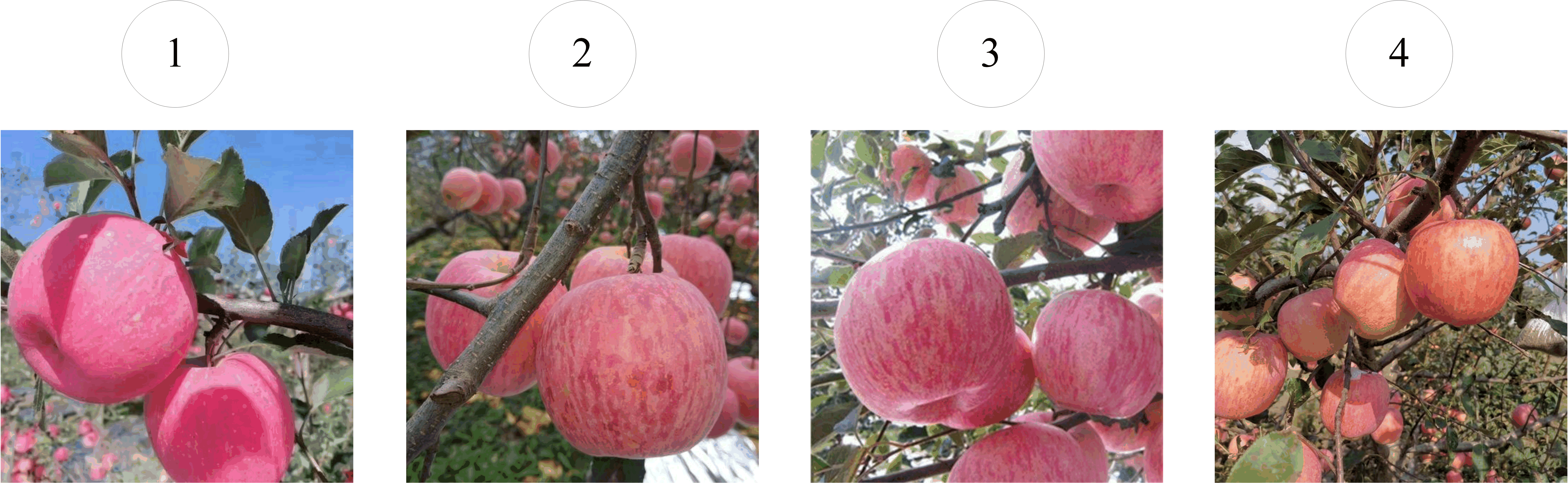 Figure9.png