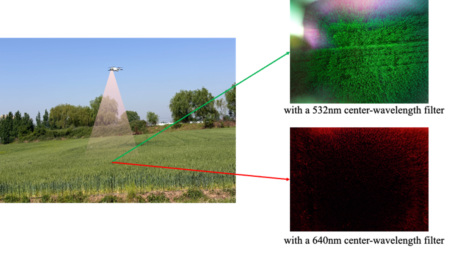 figure1.png