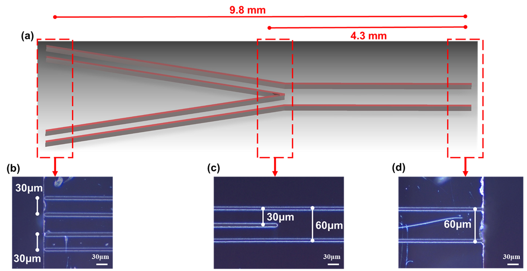 Figure2.png