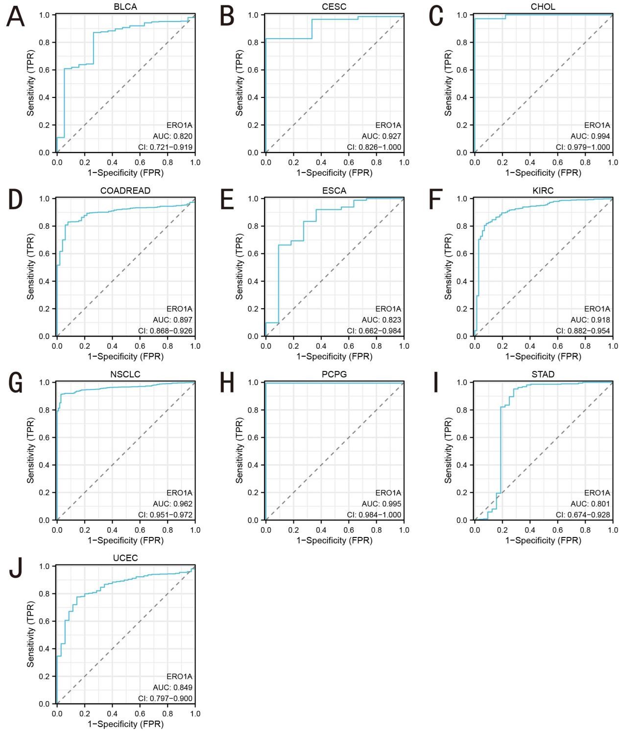 Figure 3. The diagnostic value by ROC curve of ERO1A in pan-cancer.